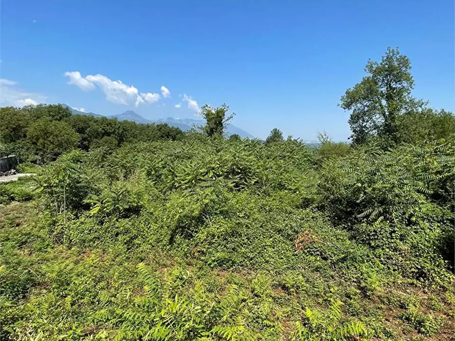 Immagine 15 di Terreno in affitto  a Ceccano