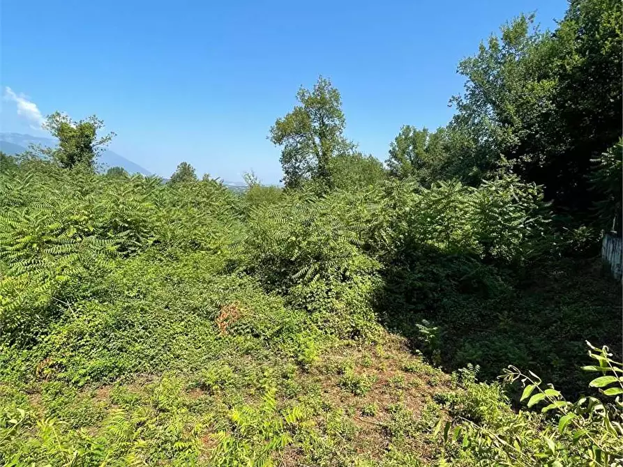 Immagine 16 di Terreno in affitto  a Ceccano