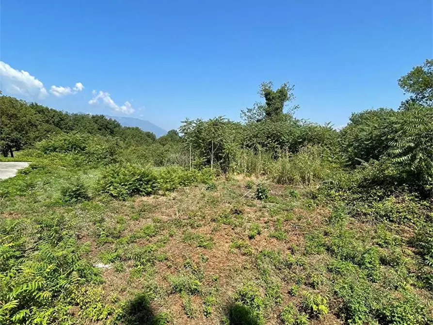 Immagine 17 di Terreno in affitto  a Ceccano