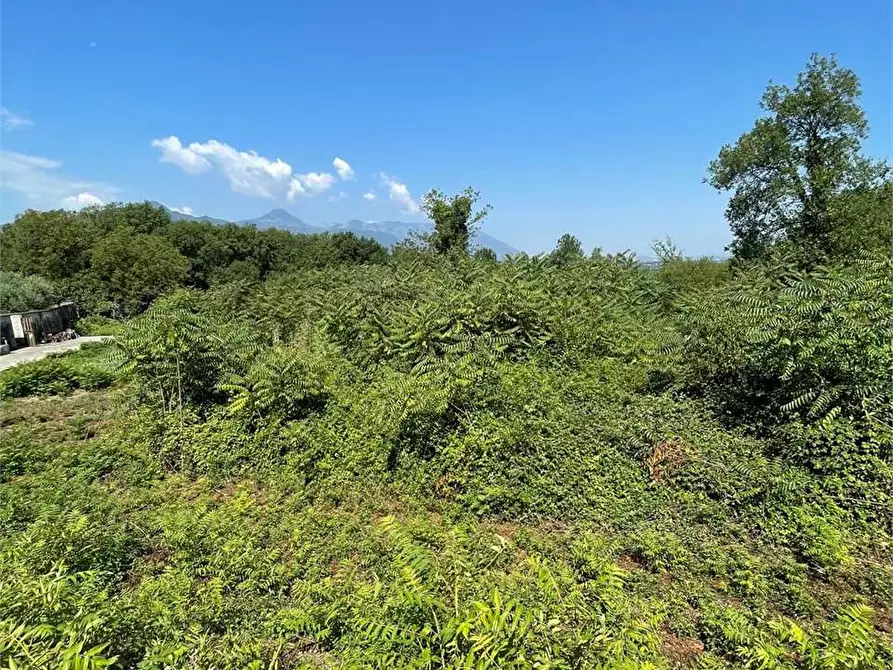 Immagine 18 di Terreno in affitto  a Ceccano