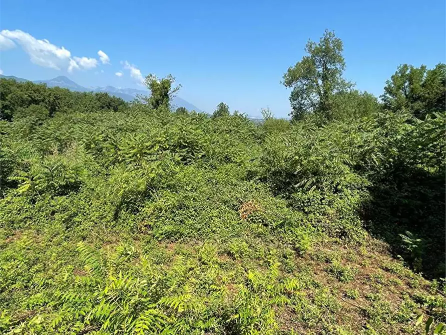 Immagine 19 di Terreno in affitto  a Ceccano