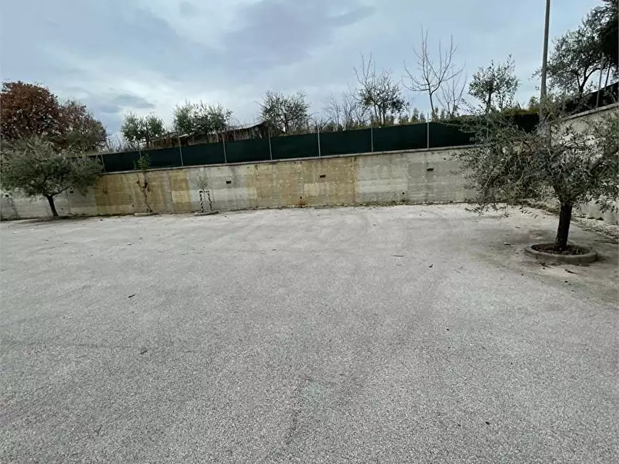 Immagine 29 di Negozio in affitto  a Alatri