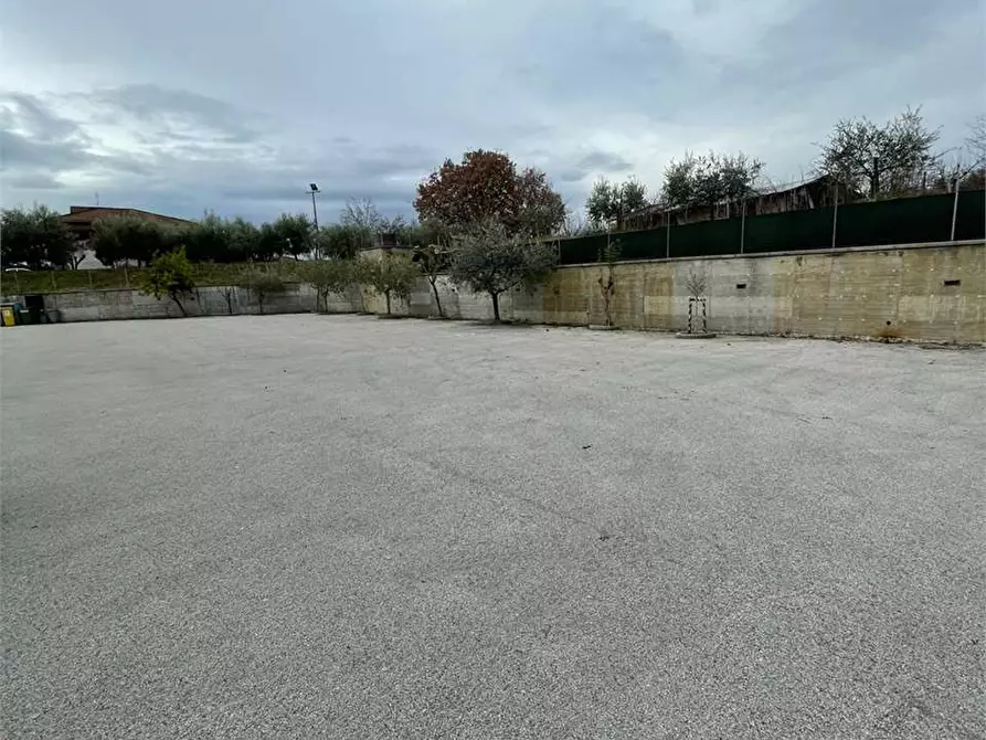 Immagine 30 di Negozio in affitto  a Alatri