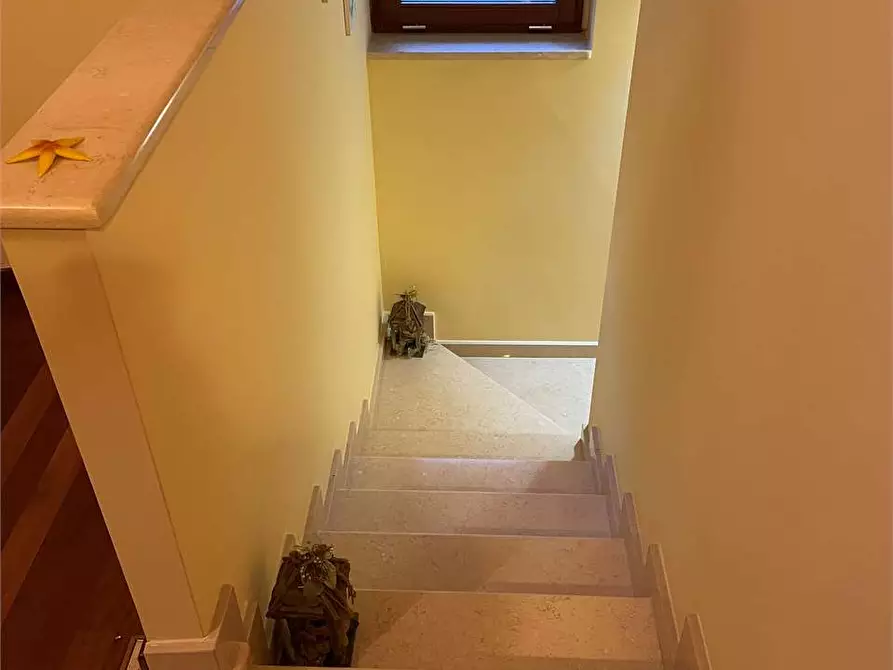Immagine 42 di Villa in affitto  in Via Ceccano 100 a Frosinone