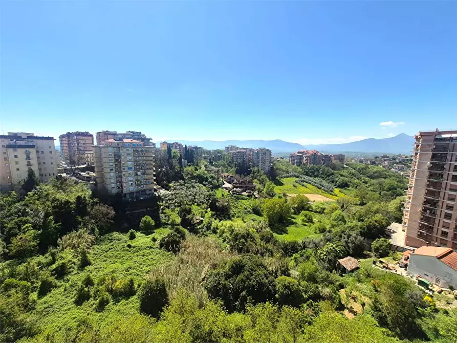 Immagine 2 di Appartamento in vendita  a Frosinone