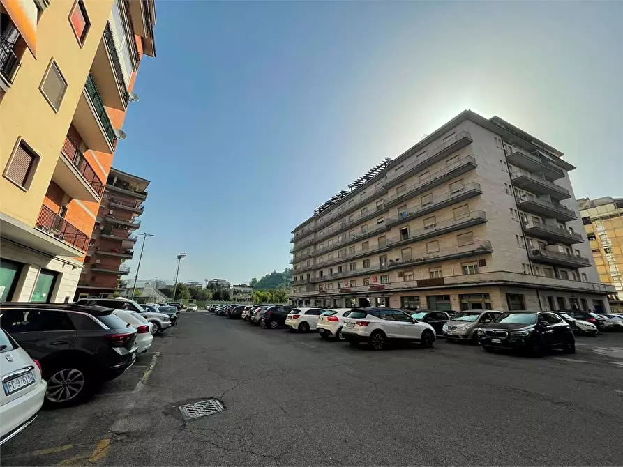 Immagine 3 di Appartamento in vendita  a Frosinone