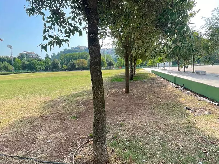 Immagine 20 di Appartamento in vendita  a Frosinone