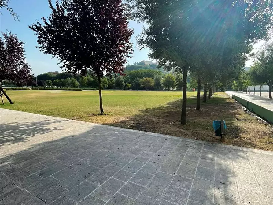 Immagine 22 di Appartamento in vendita  a Frosinone