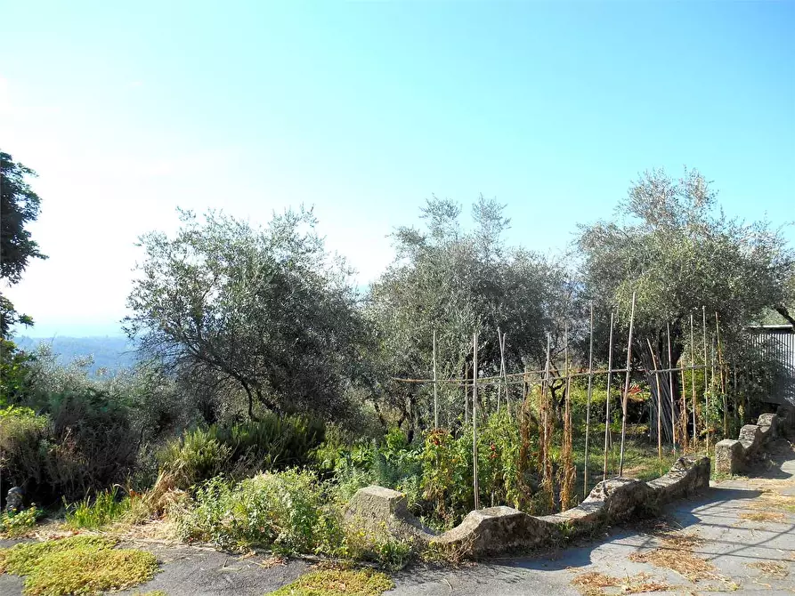 Immagine 5 di Casa indipendente in vendita  in Via di Matraia  55 a Capannori