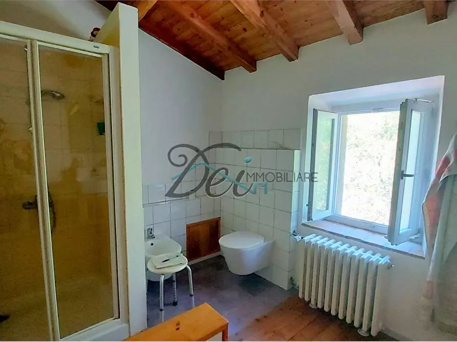 Immagine 30 di Rustico / casale in vendita  a Molazzana