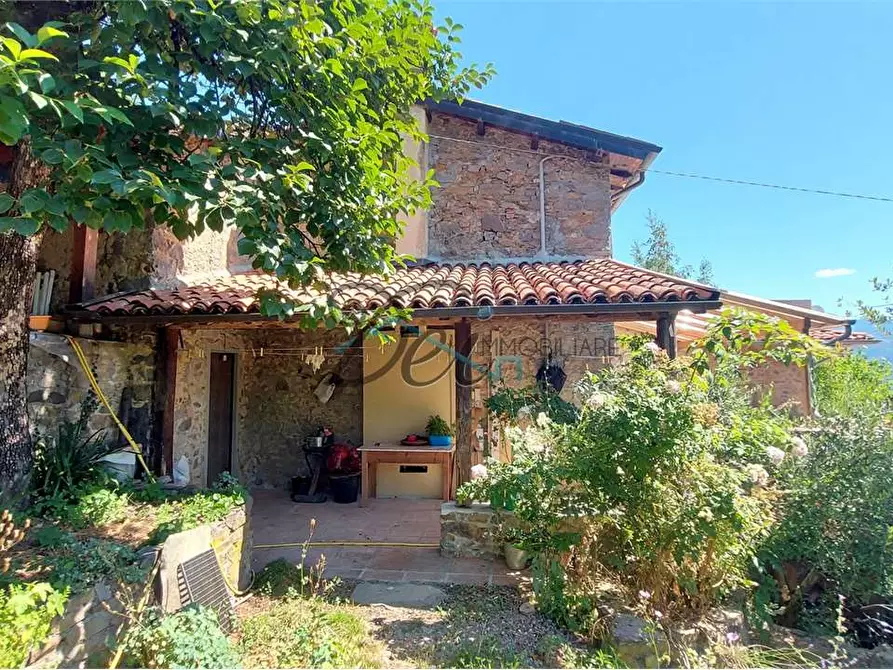 Immagine 11 di Rustico / casale in vendita  a Molazzana