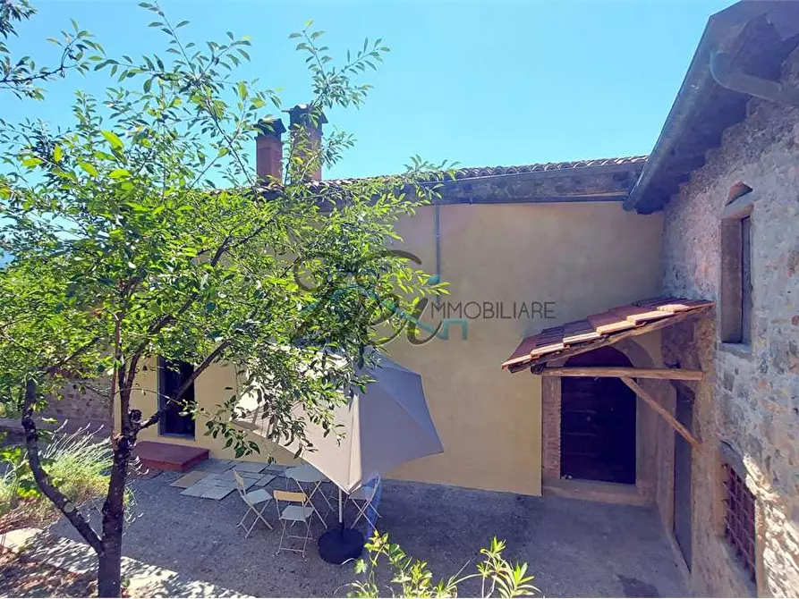 Immagine 10 di Rustico / casale in vendita  a Molazzana