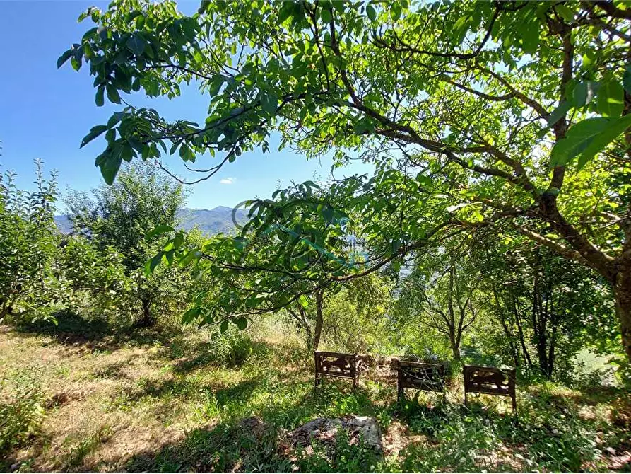 Immagine 39 di Rustico / casale in vendita  a Molazzana