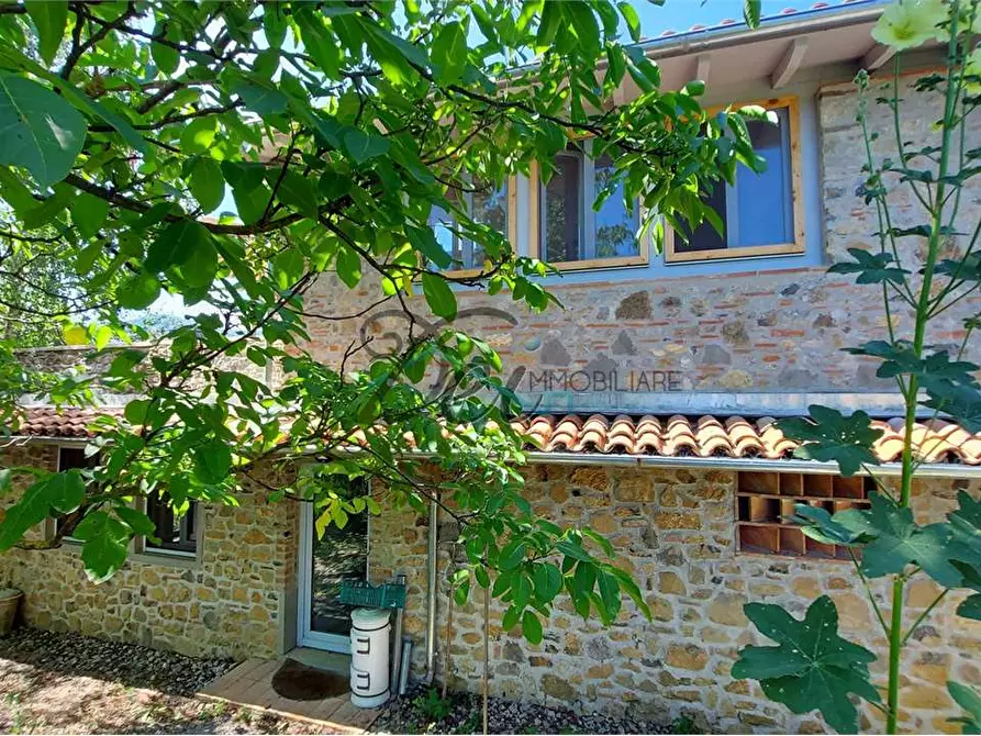 Immagine 33 di Rustico / casale in vendita  a Molazzana