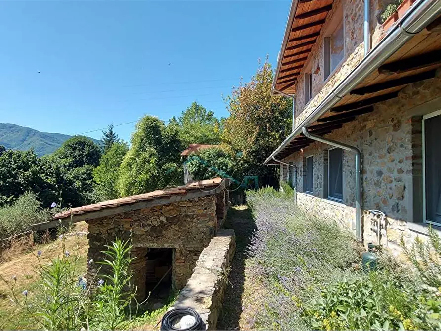 Immagine 7 di Rustico / casale in vendita  a Molazzana