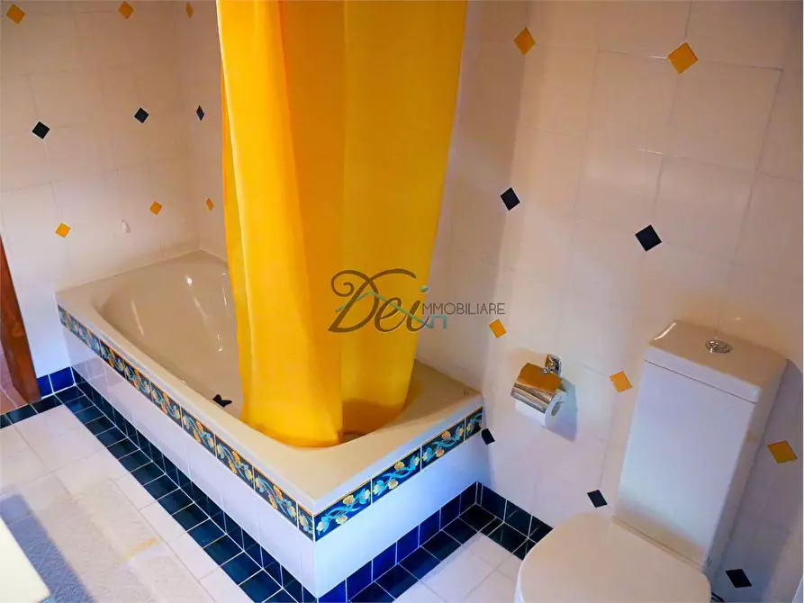 Immagine 43 di Rustico / casale in vendita  a Pisa