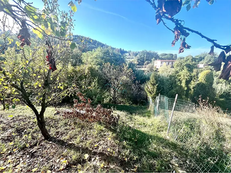 Immagine 7 di Porzione di casa in vendita  in Via della lama  a Capannori