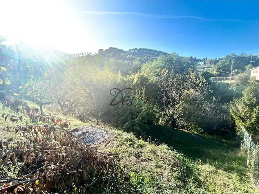 Immagine 44 di Porzione di casa in vendita  in Via della lama  a Capannori