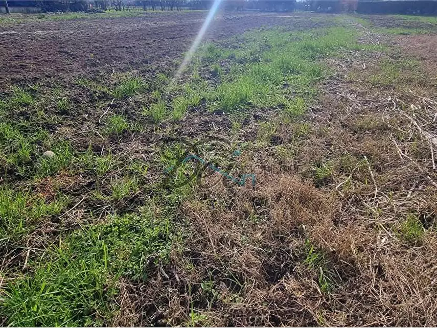 Immagine 8 di Rustico / casale in vendita  in via dei berti 2 a Lucca