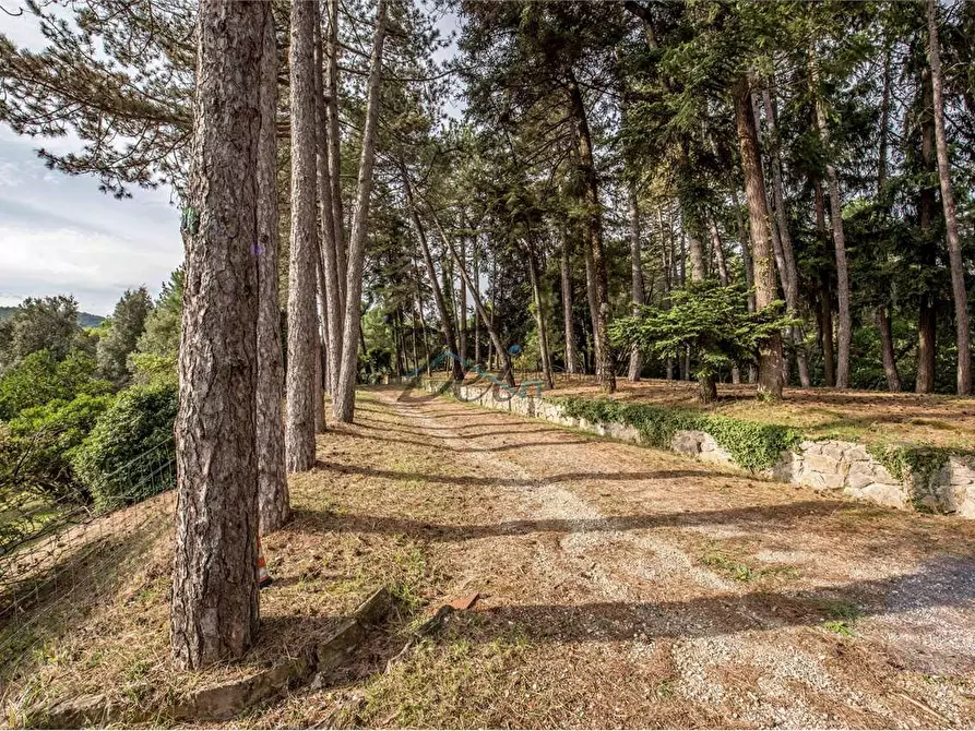 Immagine 17 di Villa in vendita  in località gragnone  4 a Arezzo