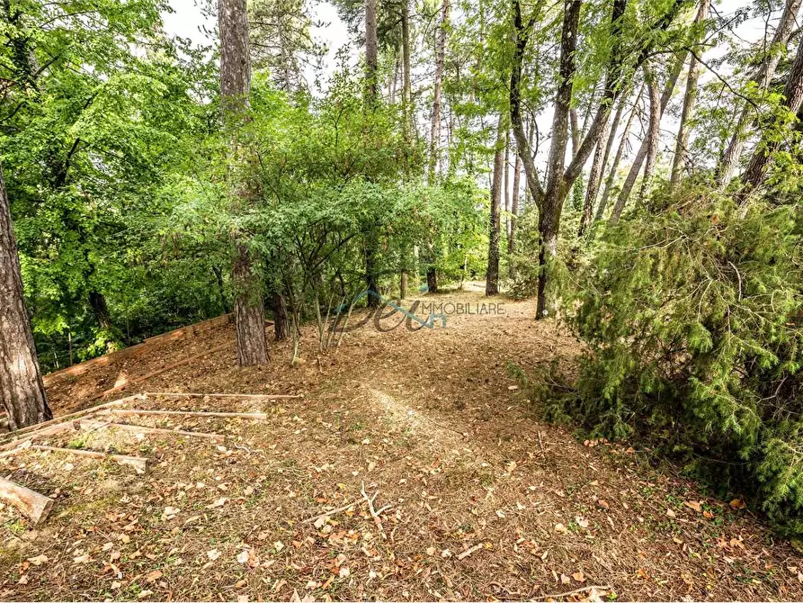 Immagine 41 di Villa in vendita  in località gragnone  4 a Arezzo