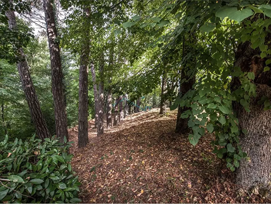 Immagine 19 di Villa in vendita  in località gragnone  4 a Arezzo