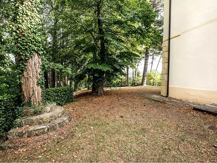 Immagine 18 di Villa in vendita  in località gragnone  4 a Arezzo
