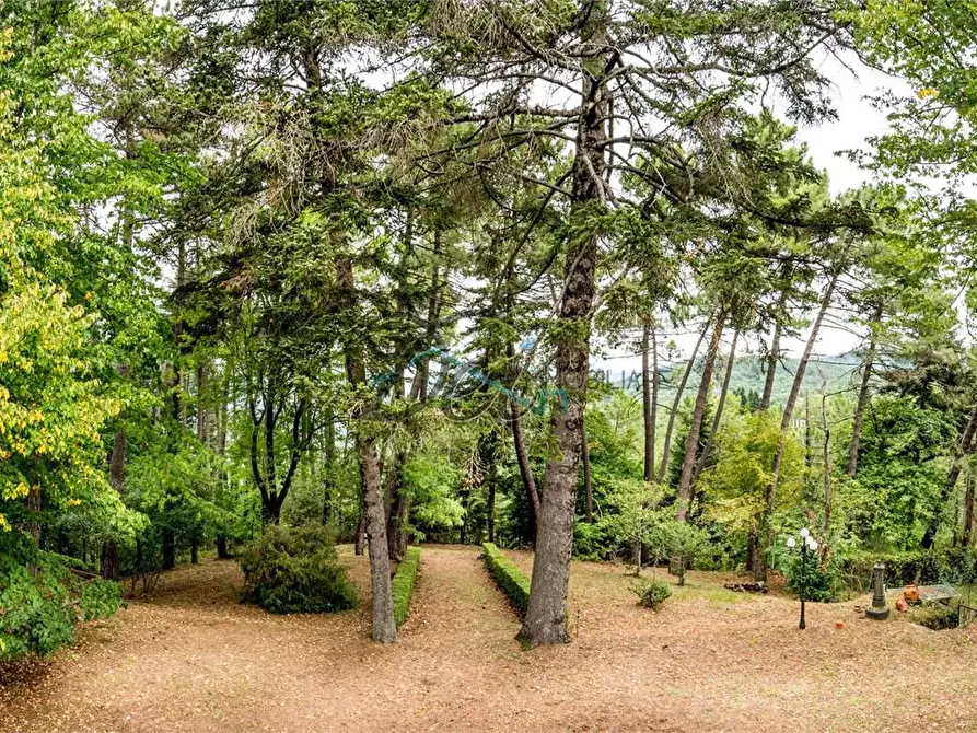 Immagine 42 di Villa in vendita  in località gragnone  4 a Arezzo
