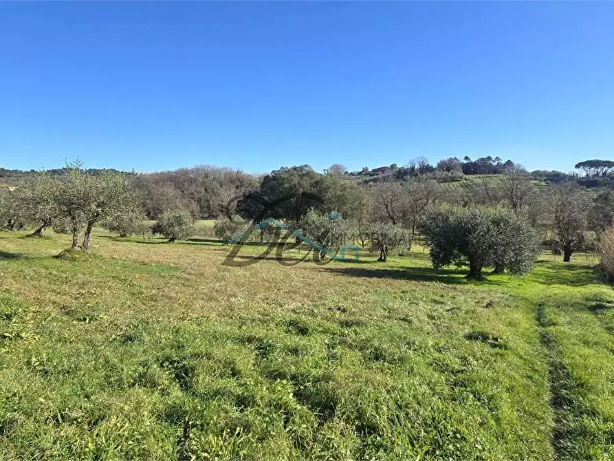 Immagine 24 di Rustico / casale in vendita  in Via di Montecarlo 3 a Montecarlo