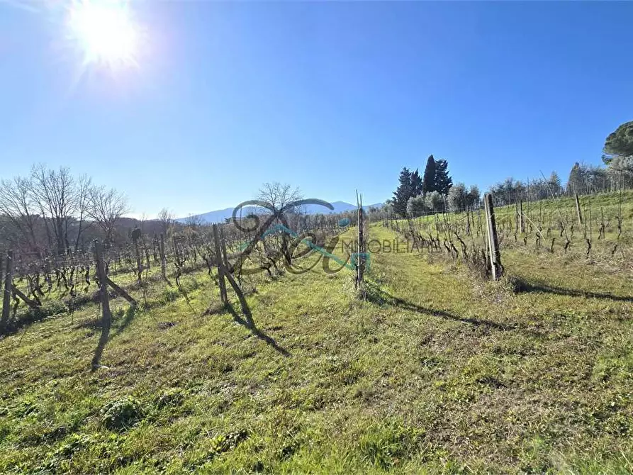 Immagine 25 di Rustico / casale in vendita  in Via di Montecarlo 3 a Montecarlo