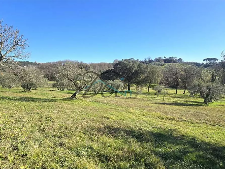 Immagine 26 di Rustico / casale in vendita  in Via di Montecarlo 3 a Montecarlo