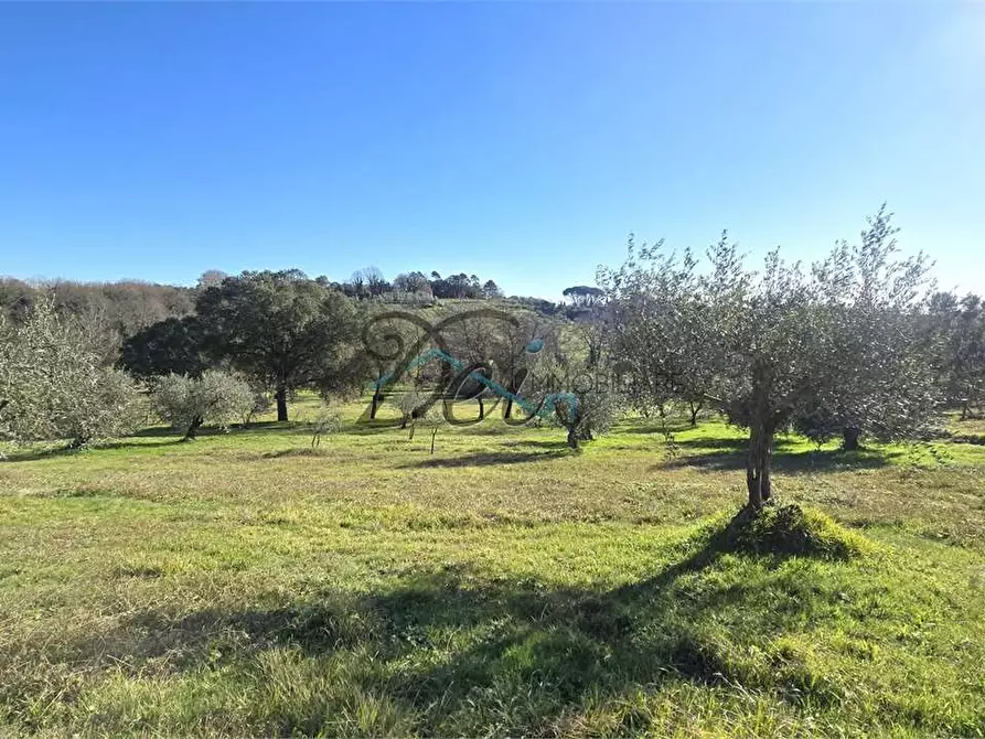Immagine 27 di Rustico / casale in vendita  in Via di Montecarlo 3 a Montecarlo