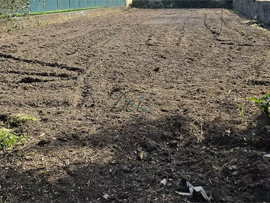 Immagine 33 di Casa bifamiliare in vendita  in Via dell'isola a Capannori
