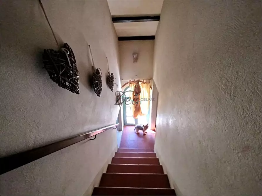 Immagine 40 di Rustico / casale in vendita  in via di tappo a Altopascio