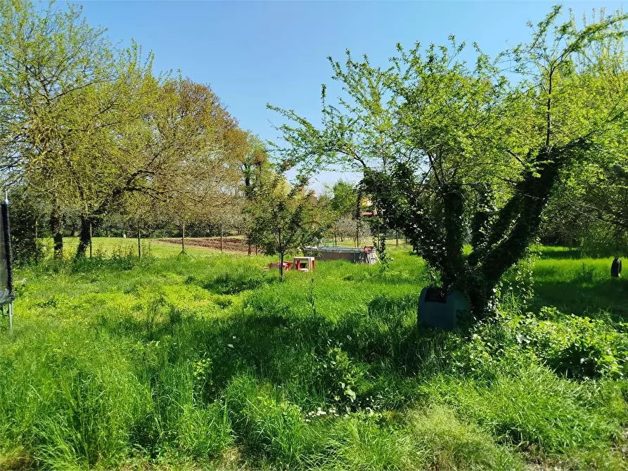 Immagine 46 di Rustico / casale in vendita  in via di tappo a Altopascio