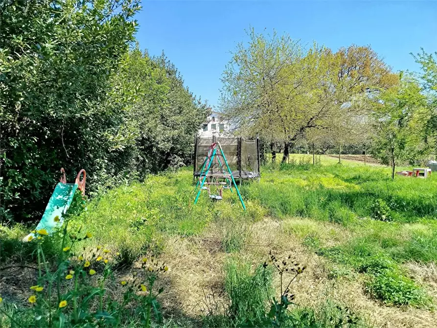 Immagine 47 di Rustico / casale in vendita  in via di tappo a Altopascio