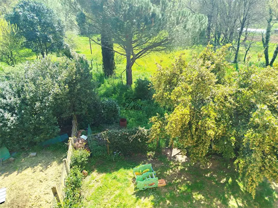 Immagine 48 di Rustico / casale in vendita  in via di tappo a Altopascio