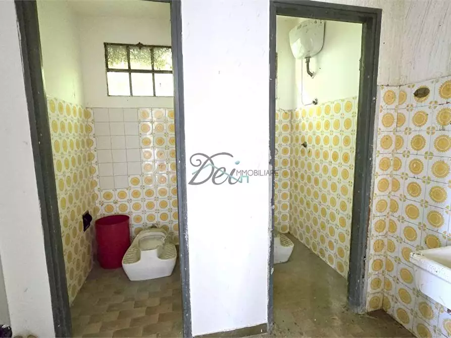 Immagine 7 di Capannone industriale in vendita  in Via nuova segromigno a Capannori