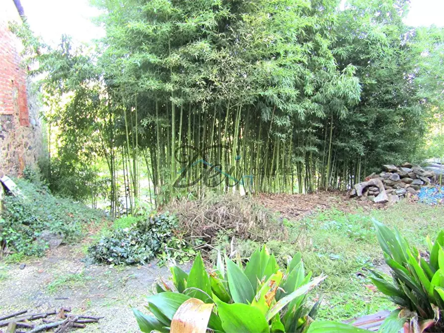 Immagine 11 di Porzione di casa in vendita  in Via castel durante 8 a Capannori