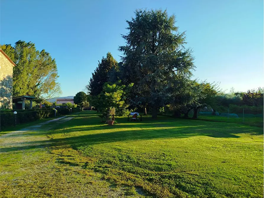 Immagine 4 di Rustico / casale in vendita  in Via di corte bertolucci a Capannori