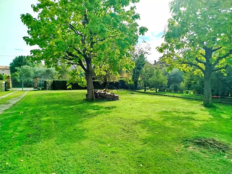 Immagine 5 di Rustico / casale in vendita  in Via di corte bertolucci a Capannori