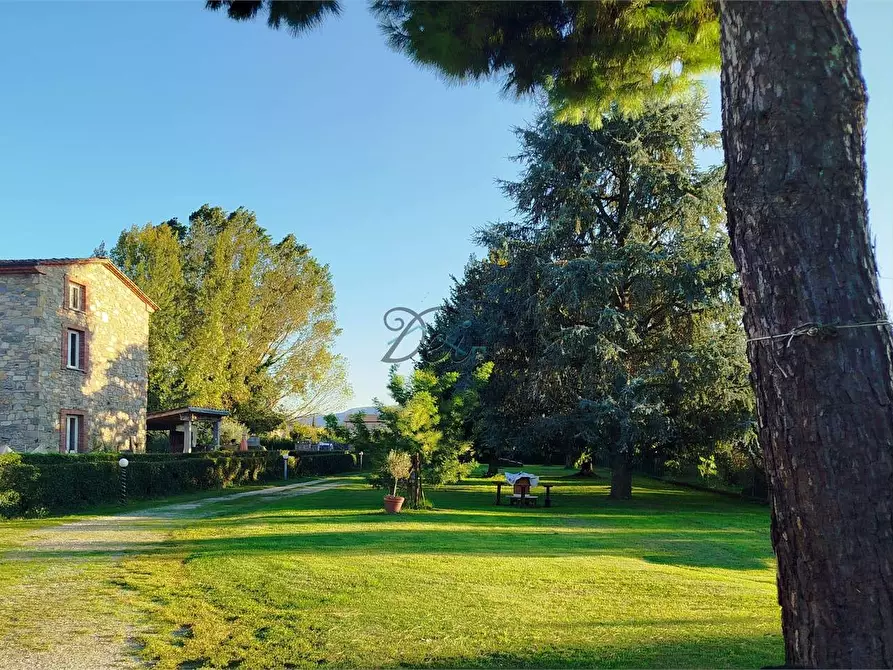 Immagine 7 di Rustico / casale in vendita  in Via di corte bertolucci a Capannori