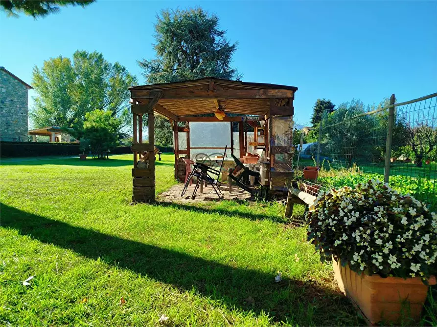 Immagine 8 di Rustico / casale in vendita  in Via di corte bertolucci a Capannori