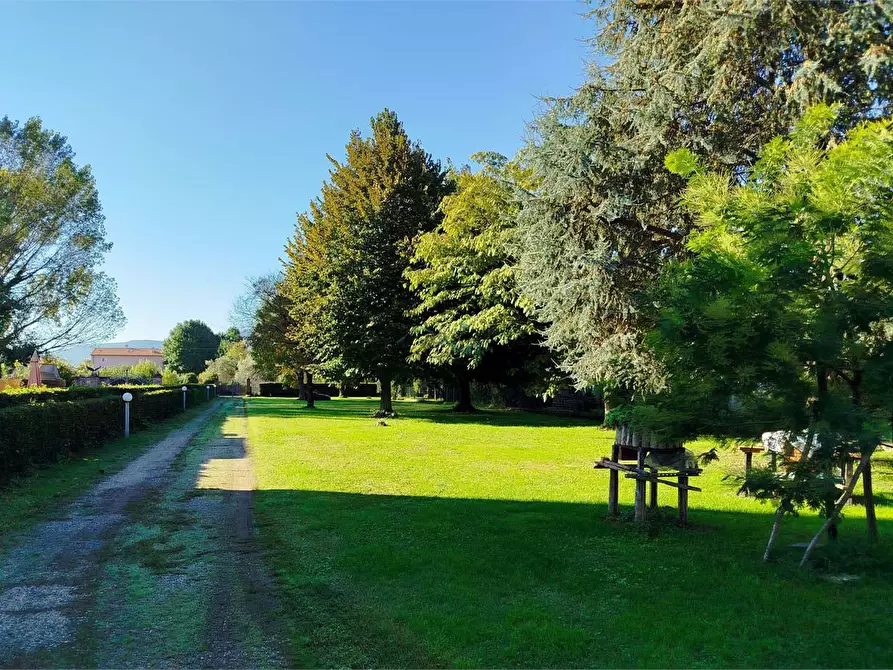 Immagine 41 di Rustico / casale in vendita  in Via di corte bertolucci a Capannori