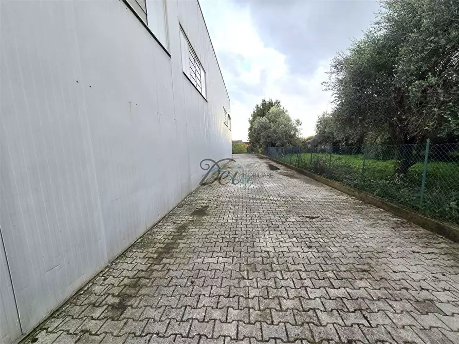 Immagine 10 di Capannone industriale in affitto  in via dei cerbaioli a Uzzano