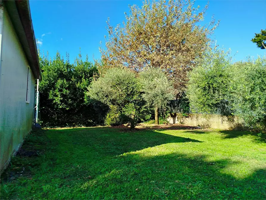 Immagine 38 di Casa indipendente in vendita  in via dell'immagine farnocchia a Capannori