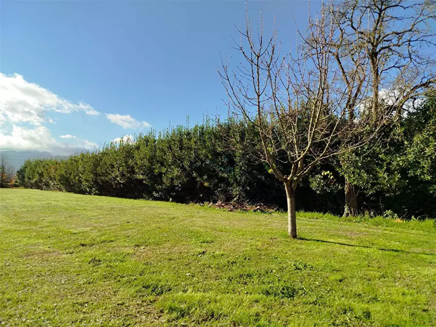 Immagine 39 di Casa indipendente in vendita  in via dell'immagine farnocchia a Capannori