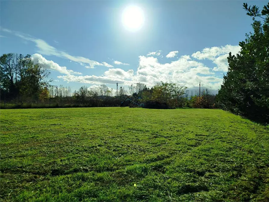 Immagine 40 di Casa indipendente in vendita  in via dell'immagine farnocchia a Capannori