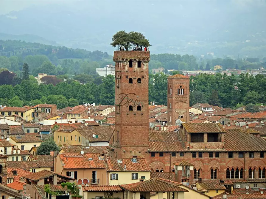 Immagine 7 di Terreno edificabile in vendita  a Lucca