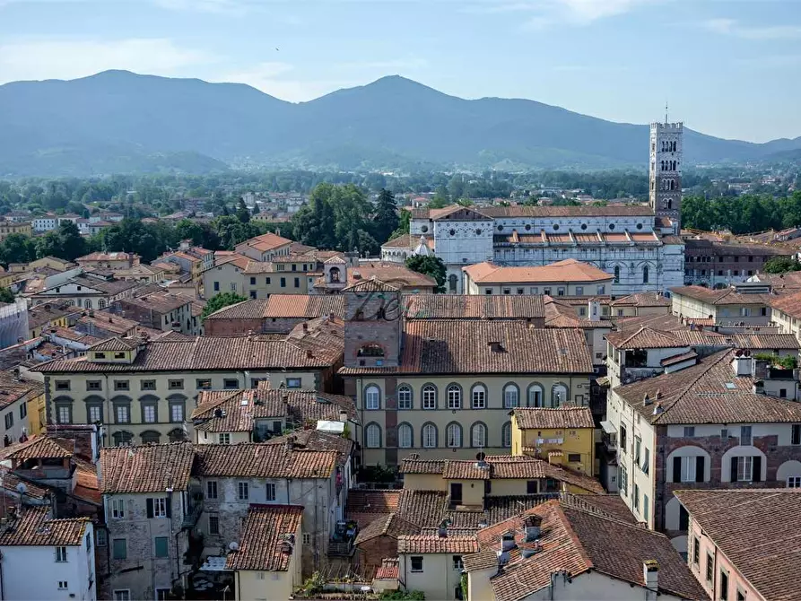 Immagine 8 di Terreno edificabile in vendita  a Lucca